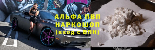 Альфа ПВП Гусев