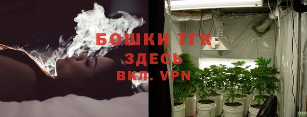 Альфа ПВП Гусев