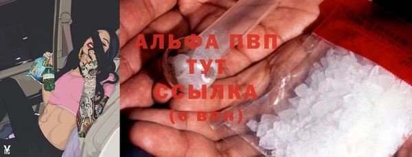 Альфа ПВП Гусев