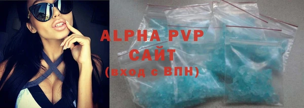 Альфа ПВП Гусев