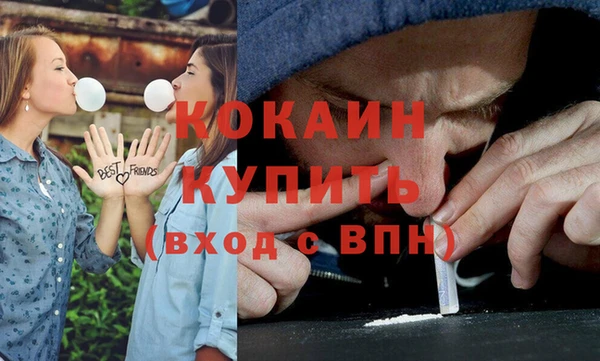 Альфа ПВП Гусев